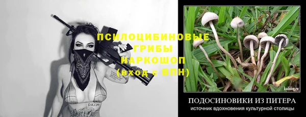 хмурый Горнозаводск