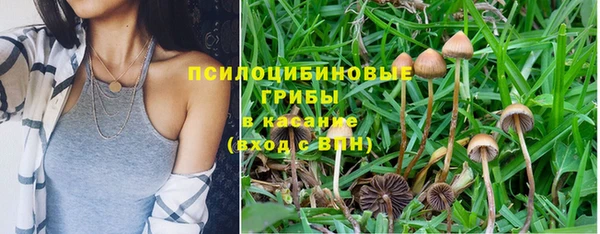 мдма Белокуриха