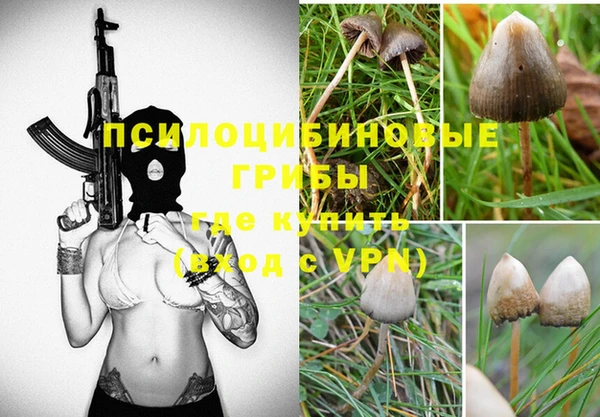 PSILOCYBIN Беломорск