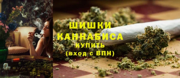 PSILOCYBIN Беломорск