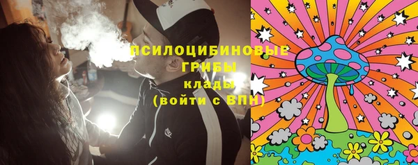 PSILOCYBIN Беломорск