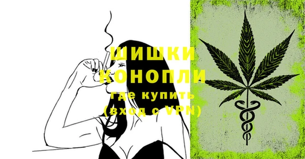 PSILOCYBIN Беломорск