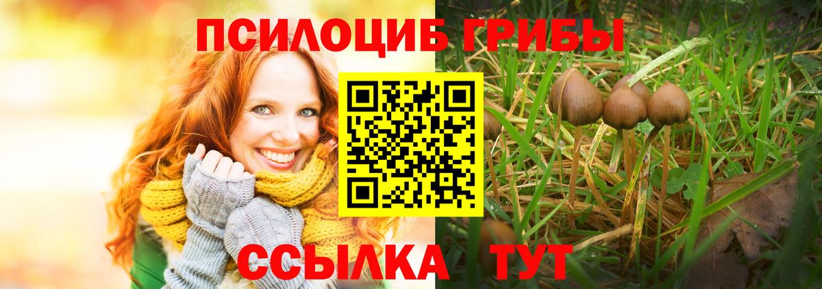 Псилоцибиновые грибы ЛСД Горячий Ключ